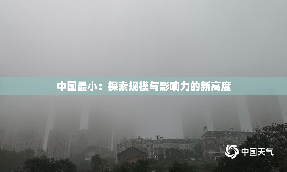 中国最小：探索规模与影响力的新高度