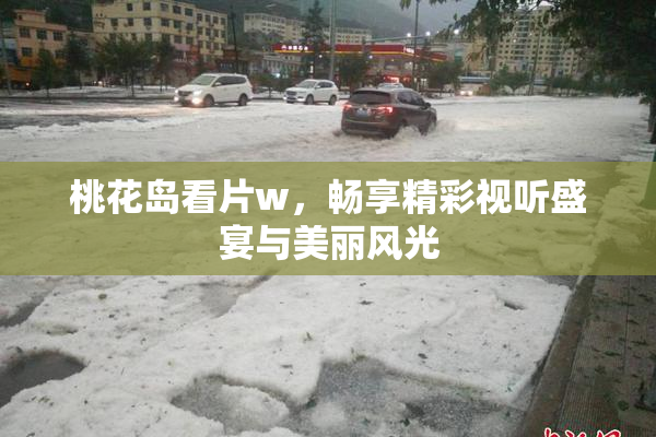 桃花岛看片w，畅享精彩视听盛宴与美丽风光