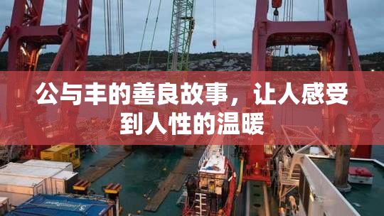 公与丰的善良故事，让人感受到人性的温暖