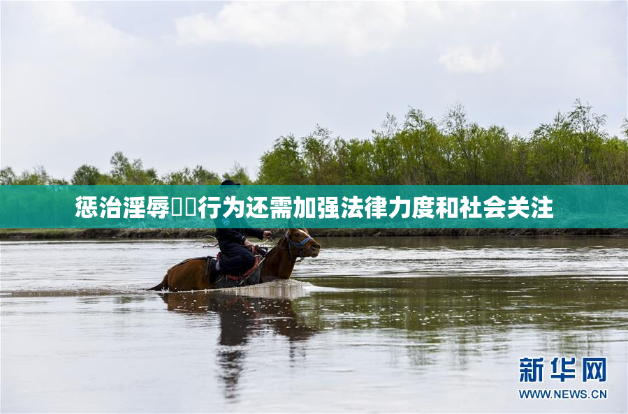 惩治淫辱妺妺行为还需加强法律力度和社会关注