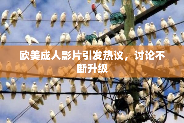 欧美成人影片引发热议，讨论不断升级