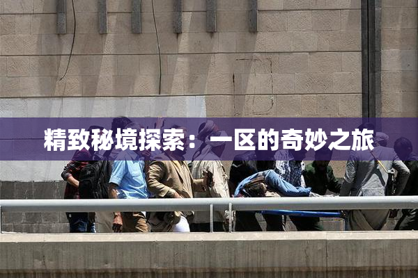 精致秘境探索：一区的奇妙之旅