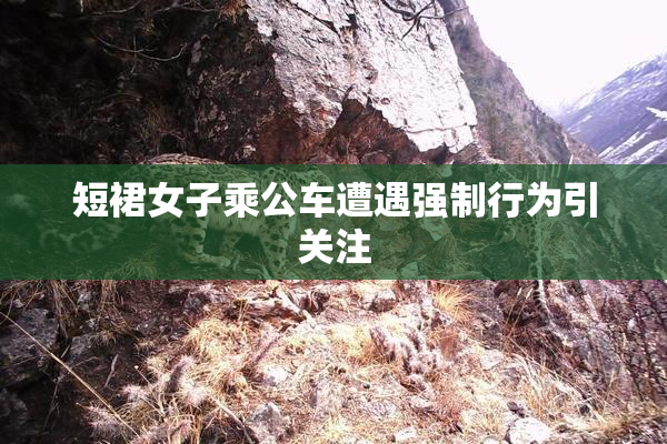 短裙女子乘公车遭遇强制行为引关注