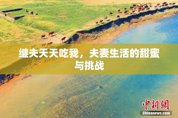 继夫天天吃我，夫妻生活的甜蜜与挑战