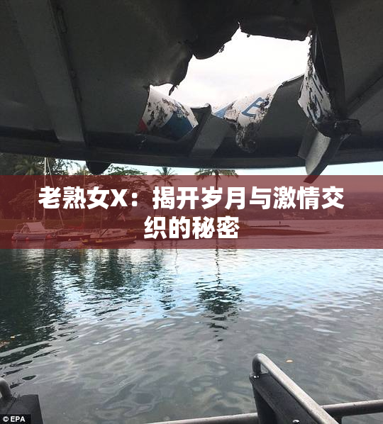 老熟女X：揭开岁月与激情交织的秘密