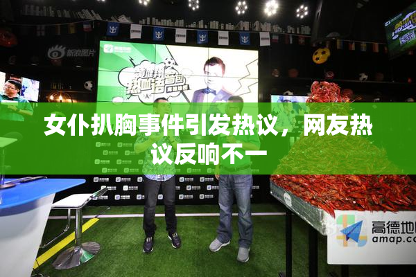 女仆扒胸事件引发热议，网友热议反响不一