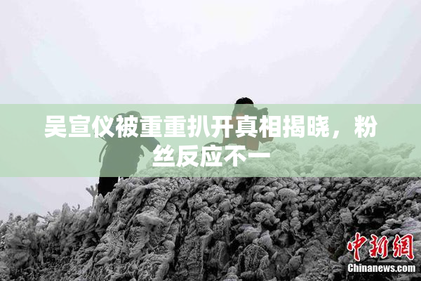 吴宣仪被重重扒开真相揭晓，粉丝反应不一