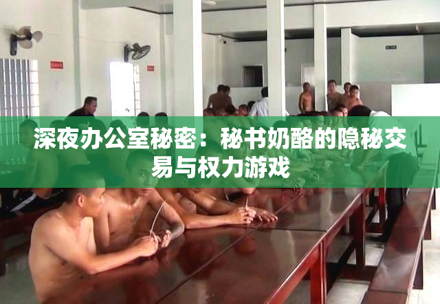 深夜办公室秘密：秘书奶酪的隐秘交易与权力游戏