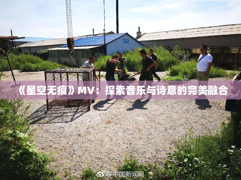 《星空无痕》MV：探索音乐与诗意的完美融合