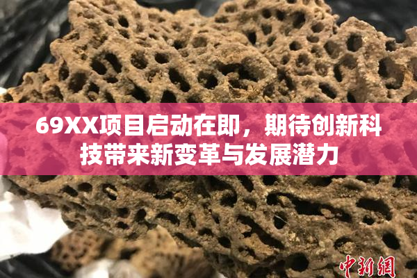 69XX项目启动在即，期待创新科技带来新变革与发展潜力