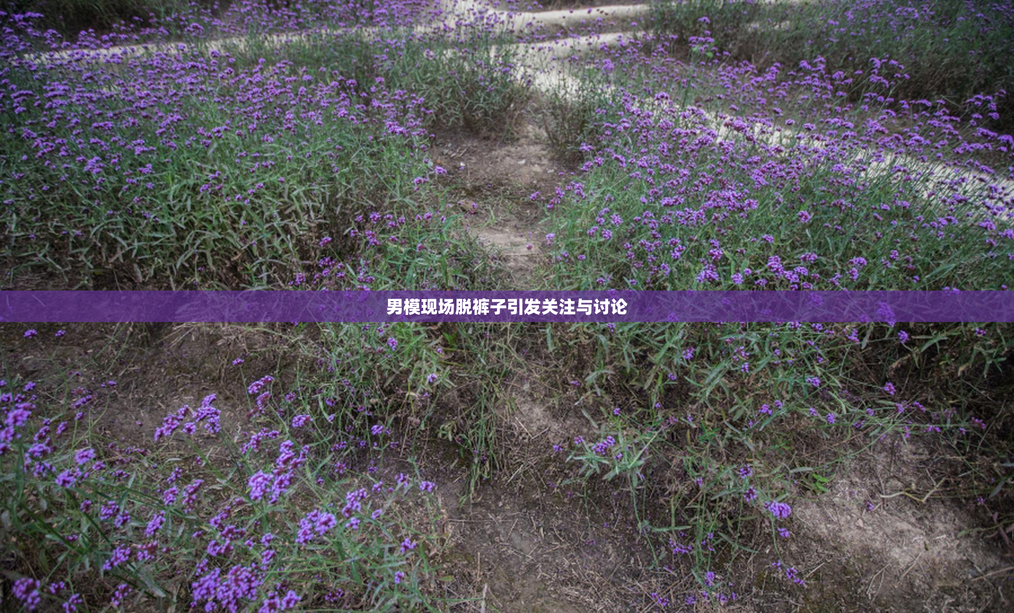 男模现场脱裤子引发关注与讨论