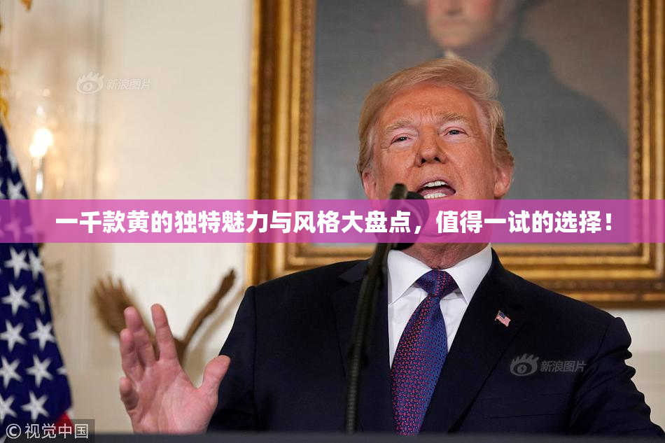 一千款黄的独特魅力与风格大盘点，值得一试的选择！