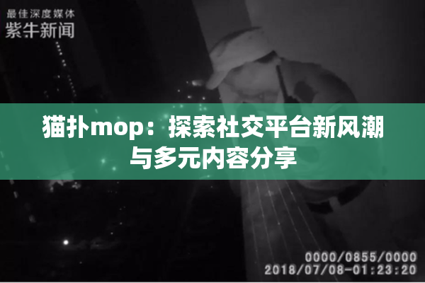 猫扑mop：探索社交平台新风潮与多元内容分享