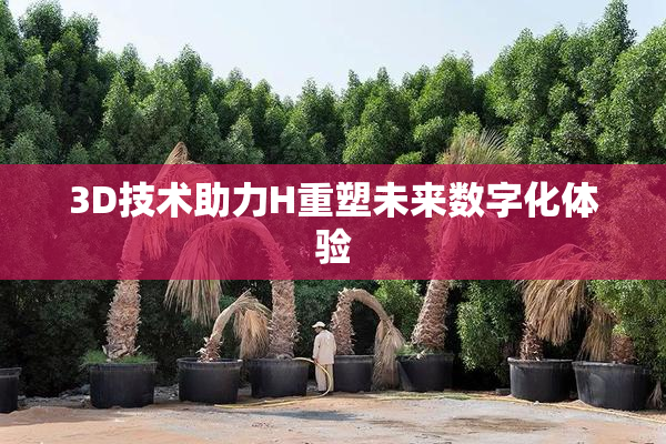 3D技术助力H重塑未来数字化体验