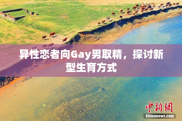 异性恋者向Gay男取精，探讨新型生育方式