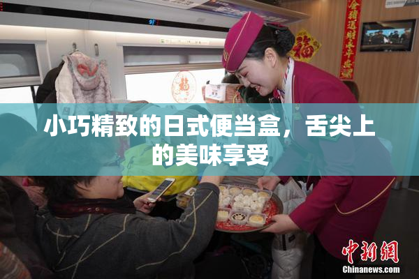小巧精致的日式便当盒，舌尖上的美味享受