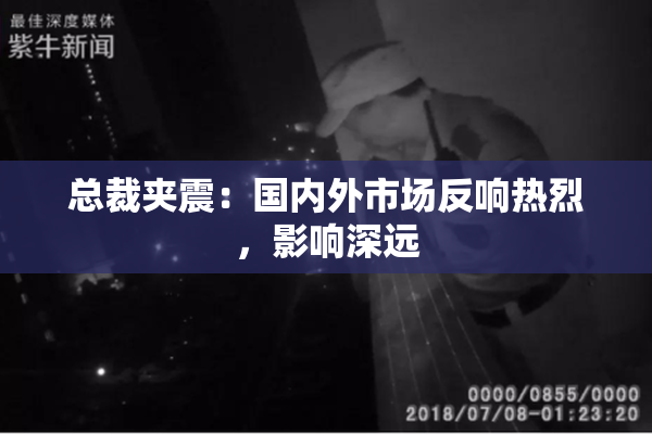 总裁夹震：国内外市场反响热烈，影响深远