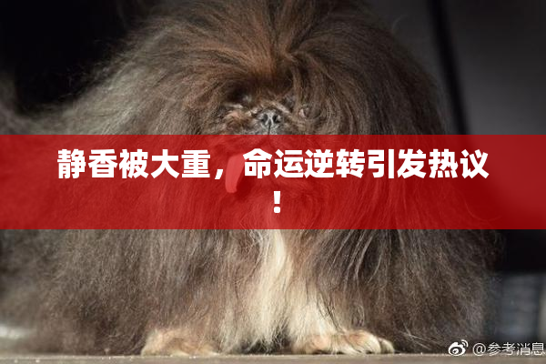 静香被大重，命运逆转引发热议！