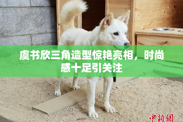 虞书欣三角造型惊艳亮相，时尚感十足引关注