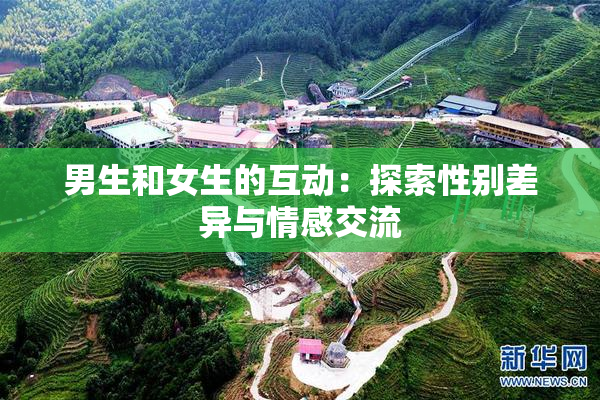 男生和女生的互动：探索性别差异与情感交流