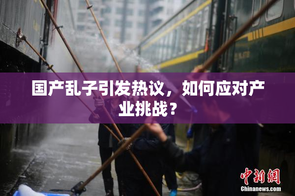 国产乱子引发热议，如何应对产业挑战？