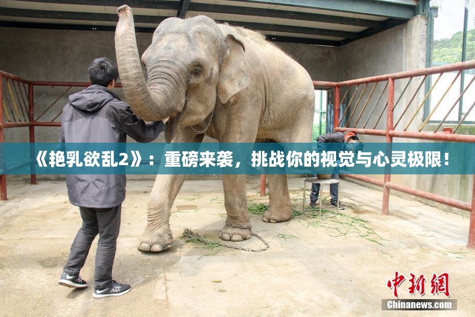 《艳乳欲乱2》：重磅来袭，挑战你的视觉与心灵极限！