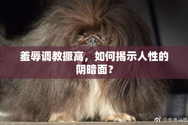 羞辱调教撅高，如何揭示人性的阴暗面？