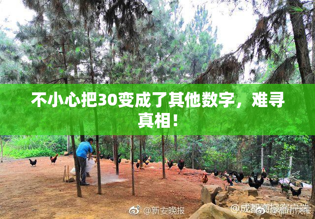 不小心把30变成了其他数字，难寻真相！