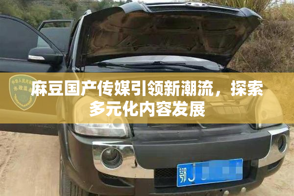 麻豆国产传媒引领新潮流，探索多元化内容发展