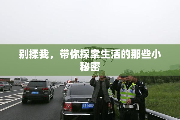 别揉我，带你探索生活的那些小秘密