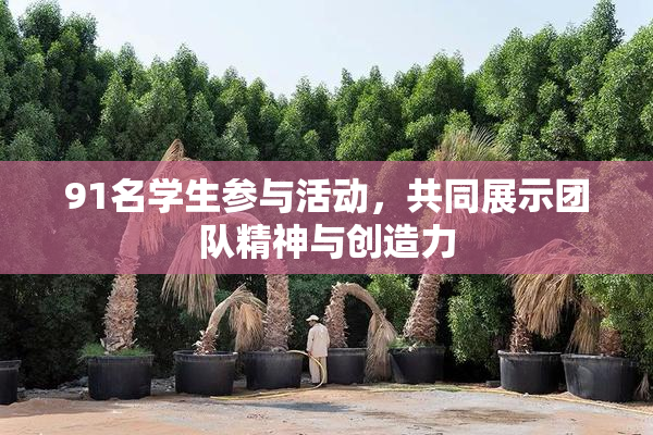 91名学生参与活动，共同展示团队精神与创造力