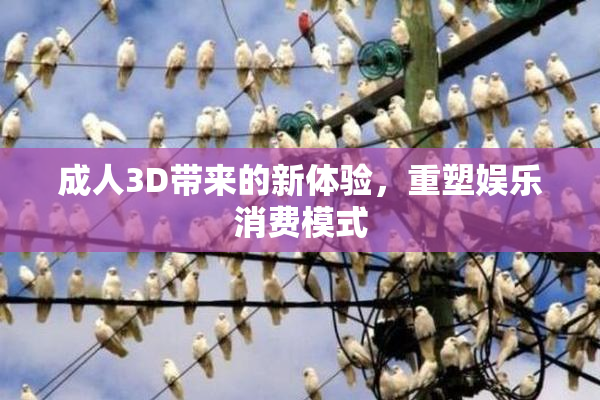 成人3D带来的新体验，重塑娱乐消费模式