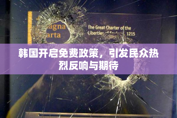 韩国开启免费政策，引发民众热烈反响与期待