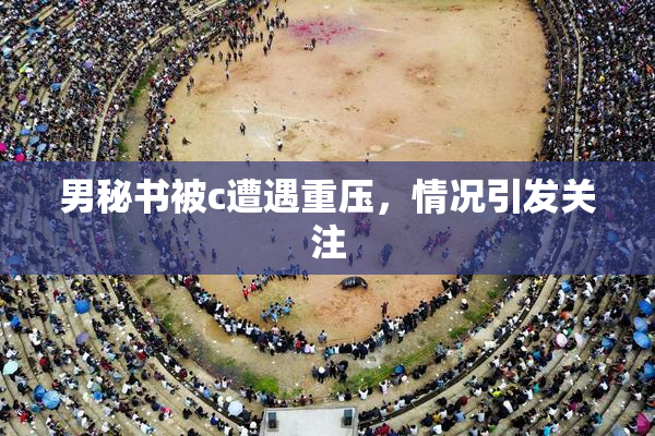 男秘书被c遭遇重压，情况引发关注