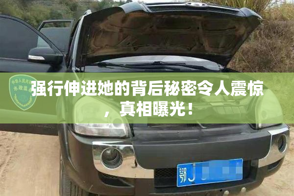 强行伸进她的背后秘密令人震惊，真相曝光！