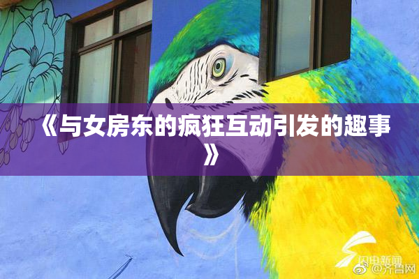 《与女房东的疯狂互动引发的趣事》