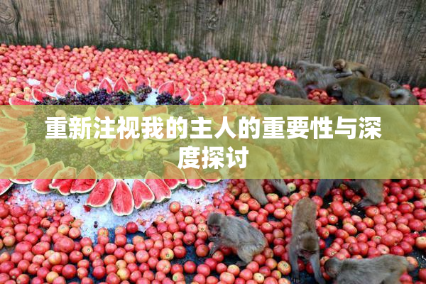 重新注视我的主人的重要性与深度探讨