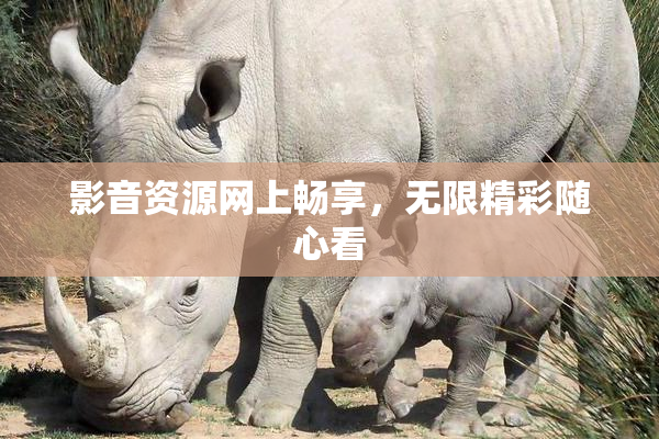 影音资源网上畅享，无限精彩随心看