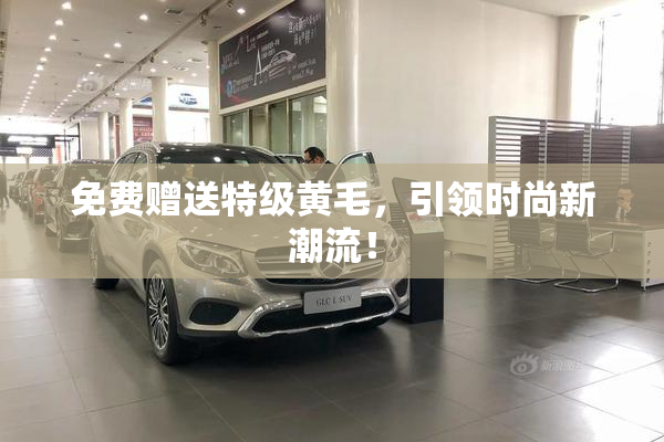 免费赠送特级黄毛，引领时尚新潮流！