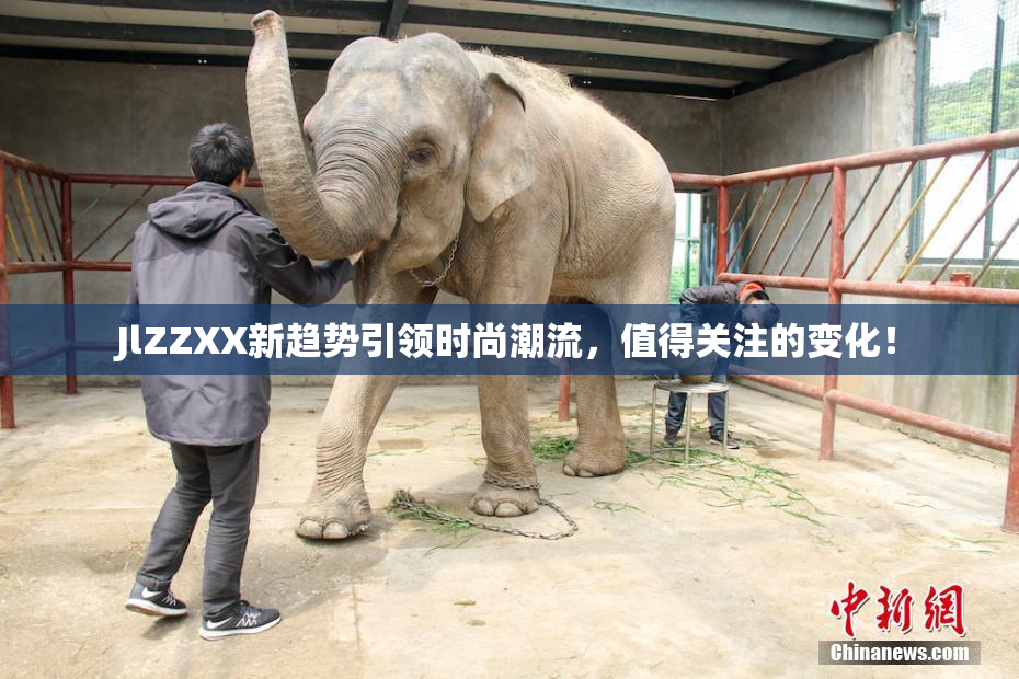 JlZZXX新趋势引领时尚潮流，值得关注的变化！