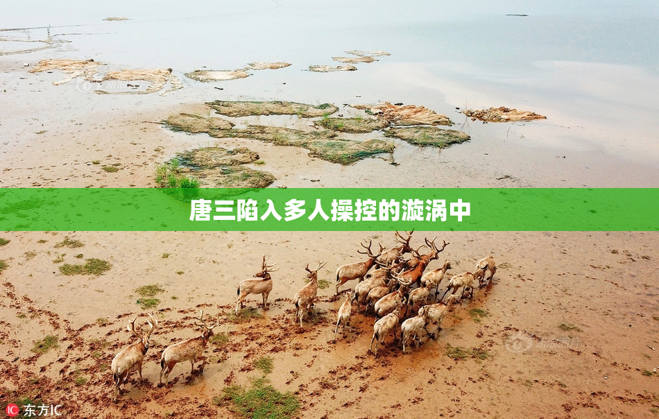 唐三陷入多人操控的漩涡中