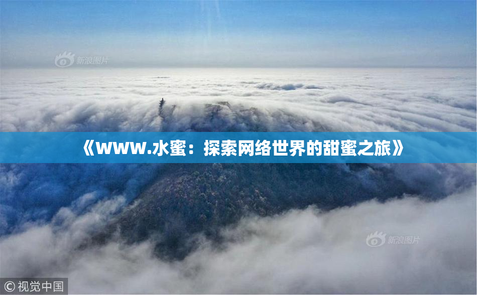 《WWW.水蜜：探索网络世界的甜蜜之旅》