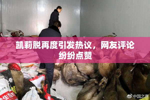 凯莉脱再度引发热议，网友评论纷纷点赞