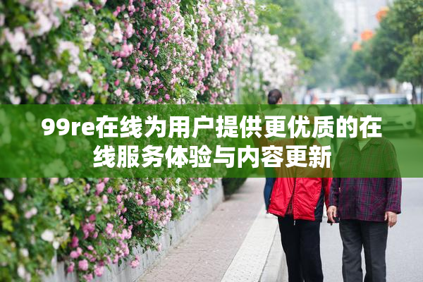 99re在线为用户提供更优质的在线服务体验与内容更新