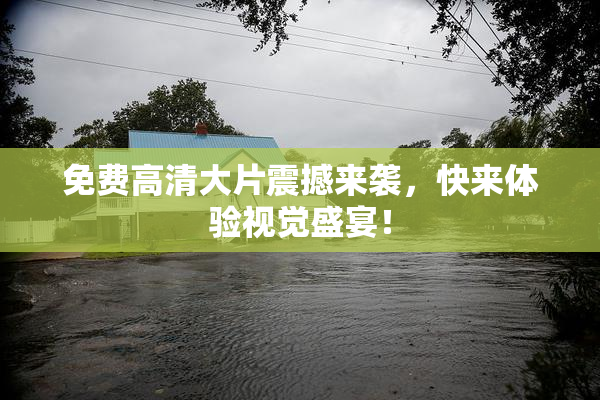 免费高清大片震撼来袭，快来体验视觉盛宴！