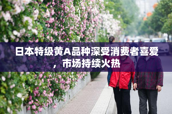 日本特级黄A品种深受消费者喜爱，市场持续火热