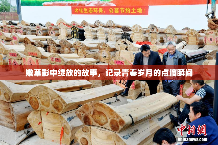 嫩草影中绽放的故事，记录青春岁月的点滴瞬间