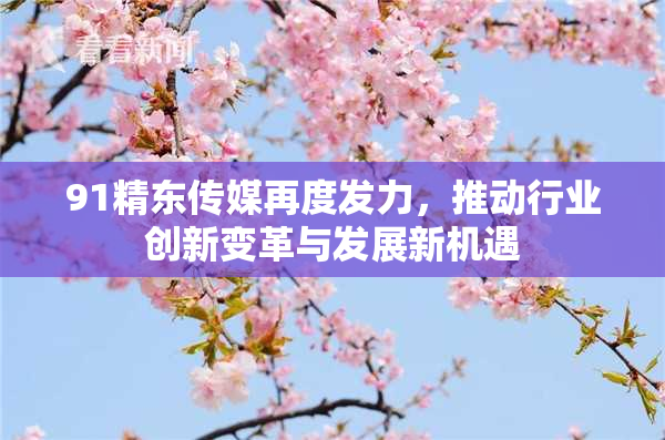 91精东传媒再度发力，推动行业创新变革与发展新机遇