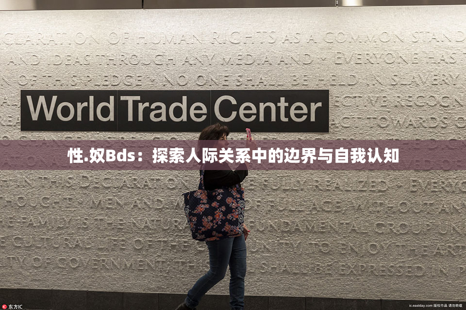 性.奴Bds：探索人际关系中的边界与自我认知
