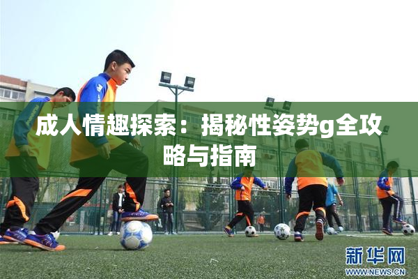 成人情趣探索：揭秘性姿势g全攻略与指南